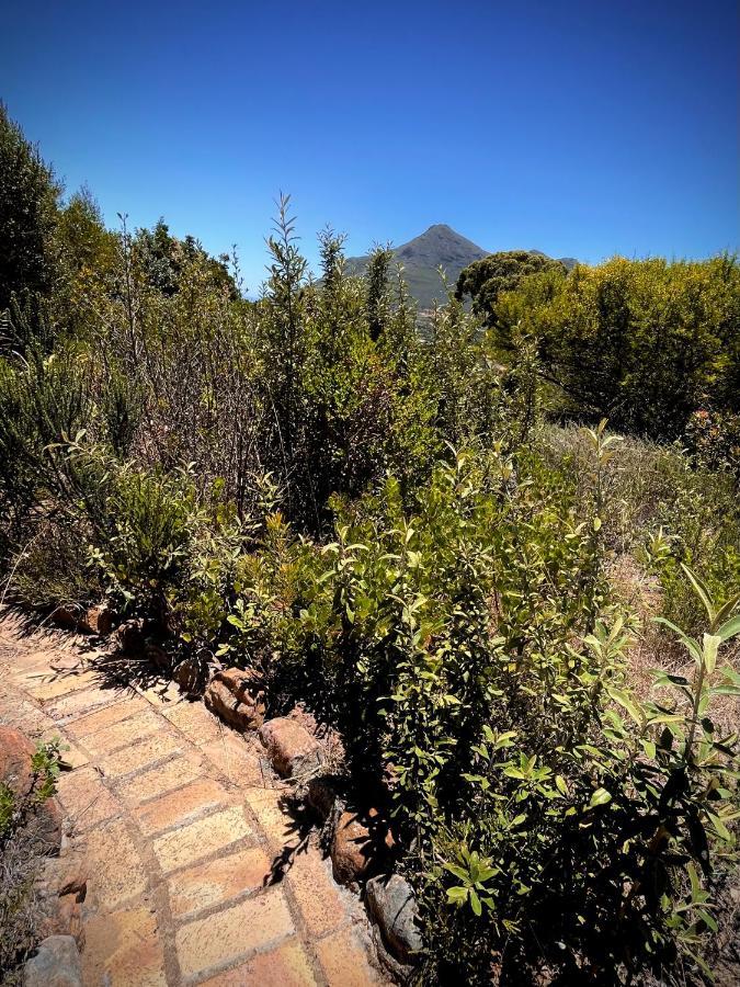 Windrose, Noordhoek, Sensationeller Meerblick Cape Town Luaran gambar