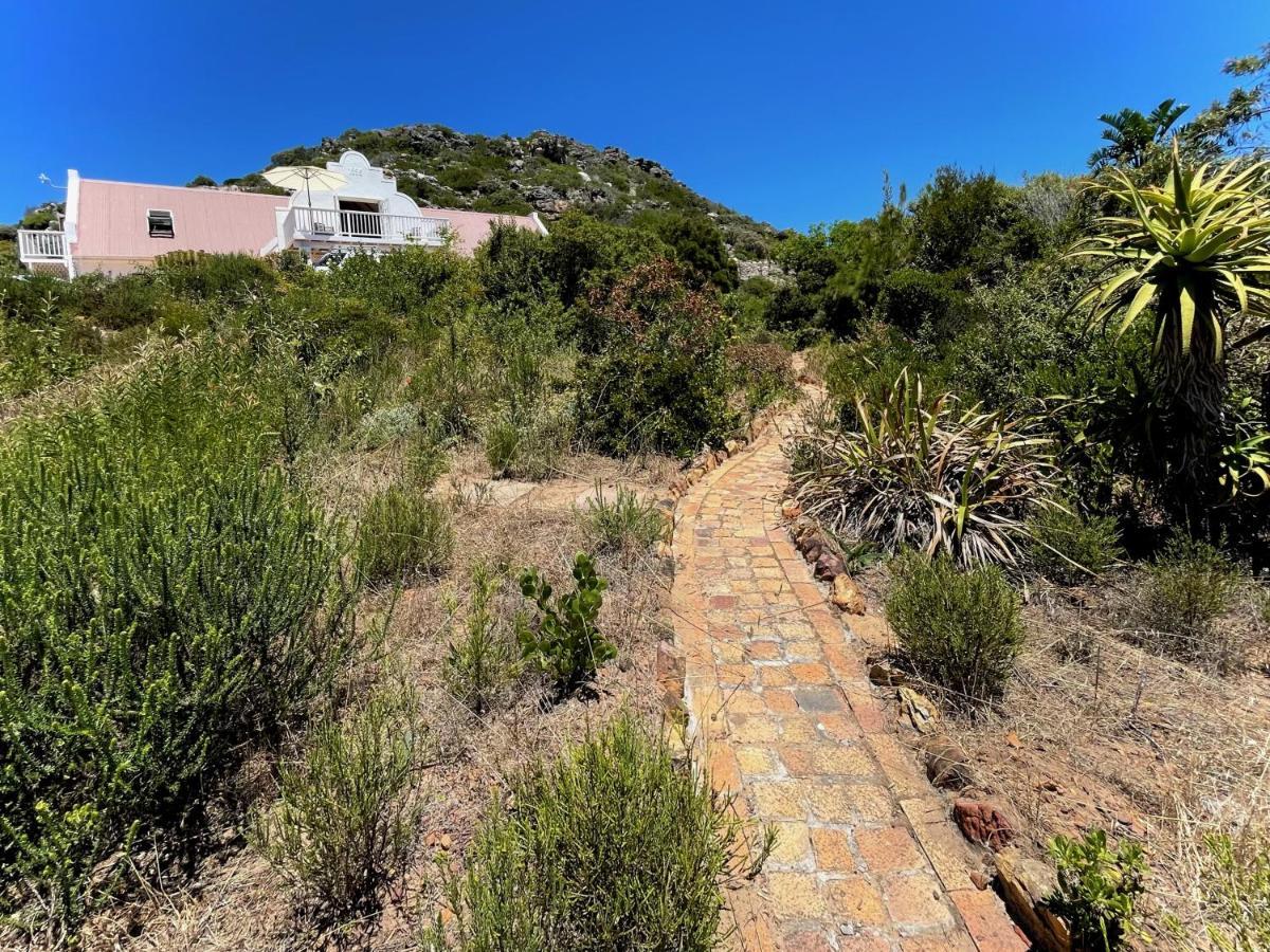 Windrose, Noordhoek, Sensationeller Meerblick Cape Town Luaran gambar